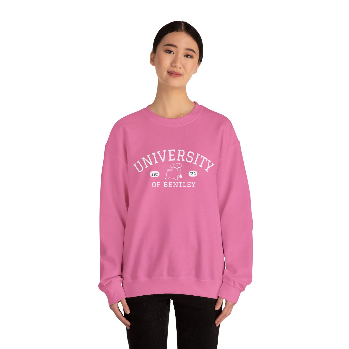 University of Bentley Crewneck Sweatshirt | Medium-Heavy Weight