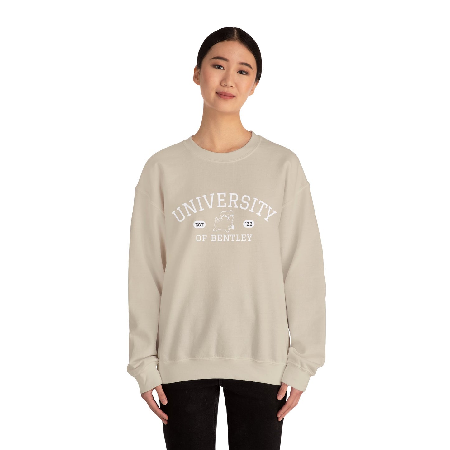 University of Bentley Crewneck Sweatshirt | Medium-Heavy Weight