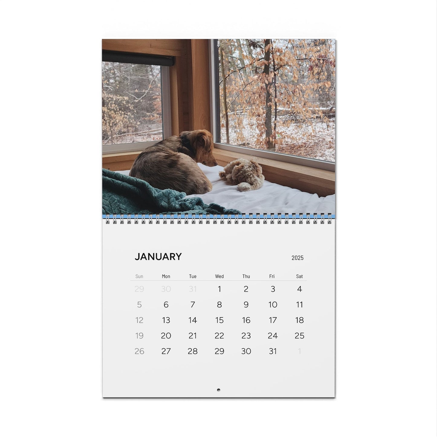 Dog Wall Calendar 2025 Featuring Bentley