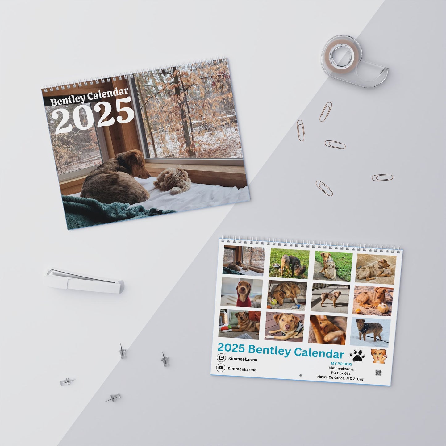 Dog Wall Calendar 2025 Featuring Bentley